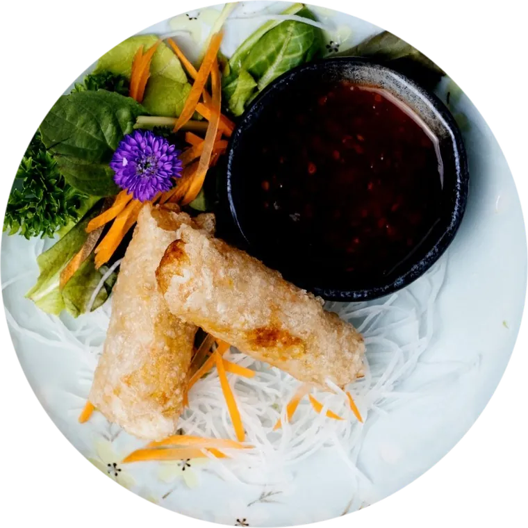 Nem Hanoi: zwei knusprige Frühlingsrollen mit Salat, Karotten und Dip